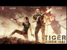 Tiger Zinda Hai (2017)